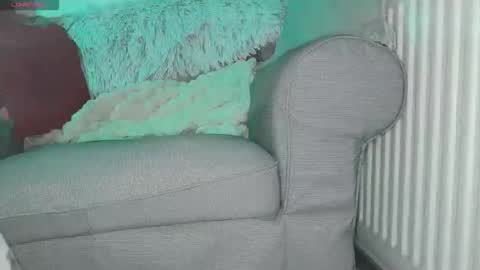 Snapshot of baseddutch chatting on 27, 2, 2026 baseddutch online show from 27, 2, 2026