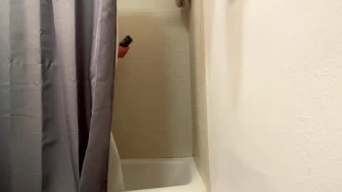 bathingcat online show from 6, 1, 2025