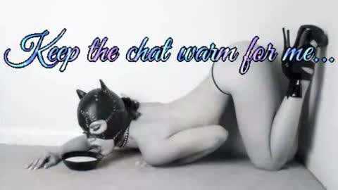 Snapshot of batmansfavoritewife chatting on 1, 7, 2026 Your always sexy Harley online show from 1, 7, 2026