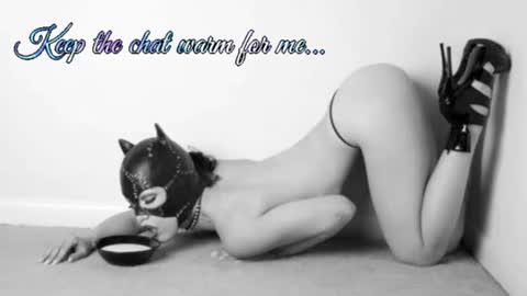 Snapshot of batmansfavoritewife chatting on 5, 7, 2026 Your always sexy Harley online show from 5, 7, 2026