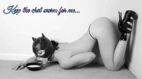 Snapshot of batmansfavoritewife chatting on 11, 7, 2026 Your always sexy Harley online show from 11, 7, 2026