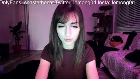 Shasta online show from 12, 3, 2025