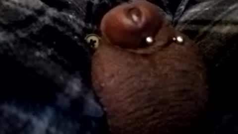 Snapshot of bcfalcon69 chatting on 26, 2, 2026 bcfalcon69 online show from 26, 2, 2026