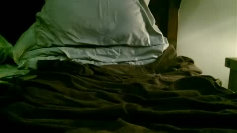 beagle1 online show from 21, 12, 2024