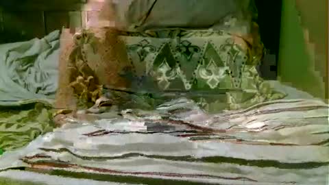 beagle1 online show from 1, 11, 2025