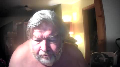 bear online show from 15, 6, 2026