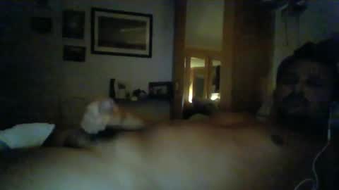 bearboudior online show from 14, 1, 2025