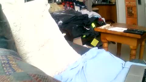 beardbushy online show from 1, 12, 2024