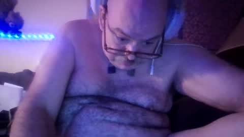 Pig Bear online show from 22, 7, 2026