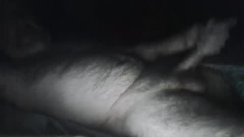 beastiejam2000 online show from 31, 1, 2025