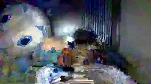 Xi online show from 20, 5, 2026