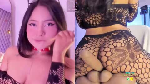 Bela online show from 8, 11, 2025