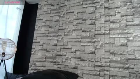   online show from 23, 1, 2025