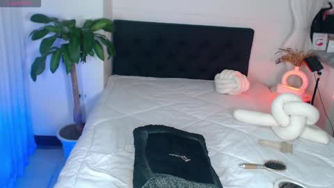 Bella Porch online show from 2, 3, 2026