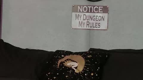 Bellaskeykeeper online show from 21, 2, 2026