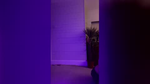 Snapshot of bellaxlauren chatting on 11, 2, 2026 bellaxlauren online show from 11, 2, 2026