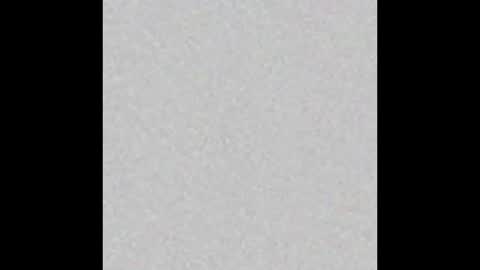 Bella online show from 16, 2, 2026