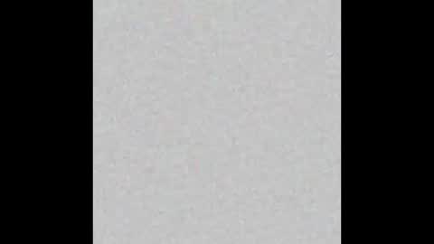 Bella online show from 25, 2, 2026