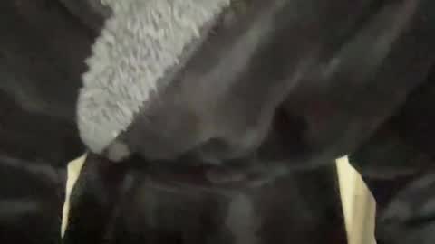 READ MY BIO ---  --- READ MY BIO online show from 7, 3, 2025