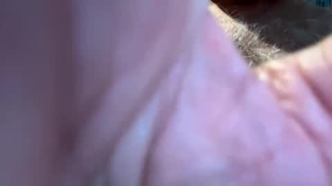 Snapshot of benz10001 chatting on 13, 9, 2025 benz10001 online show from 13, 9, 2025