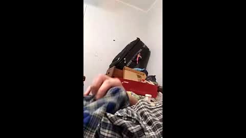 bertpace9296 online show from 3, 5, 2026