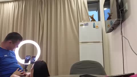 best_ass2000 online show from 16, 5, 2026