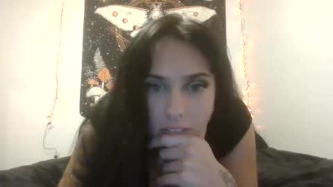 Snapshot of bexbex945874 chatting on 23, 11, 2025 bexbex945874 online show from 23, 11, 2025