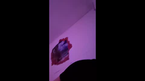 Snapshot of bgiamba21 chatting on 7, 2, 2026 bgiamba21 online show from 7, 2, 2026