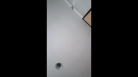 Snapshot of bgiamba21 chatting on 17, 2, 2026 bgiamba21 online show from 17, 2, 2026