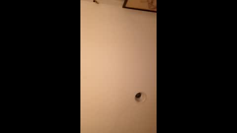 Snapshot of bgiamba21 chatting on 14, 3, 2026 bgiamba21 online show from 14, 3, 2026