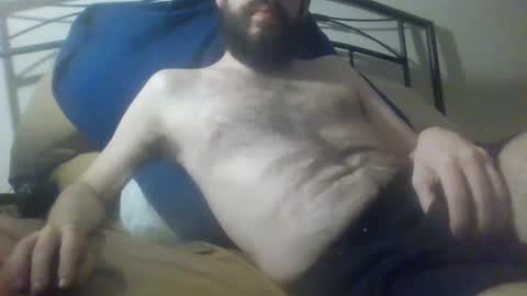 bibotguy online show from 8, 12, 2024