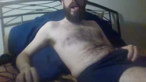 bibotguy online show from 12, 12, 2024