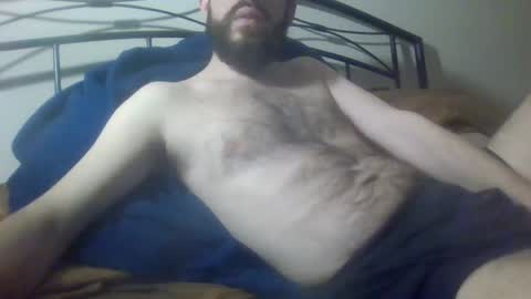 bibotguy online show from 19, 12, 2024