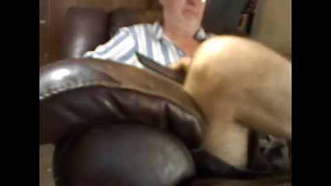 BB online show from 26, 11, 2025