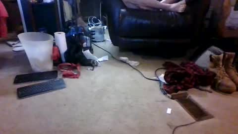 BB online show from 17, 3, 2026