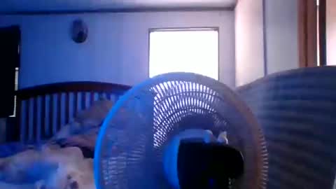 BB online show from 28, 3, 2026