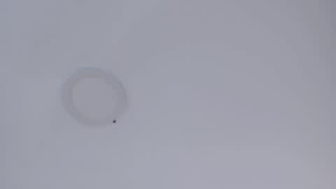   online show from 16, 10, 2025