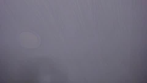   online show from 7, 4, 2026