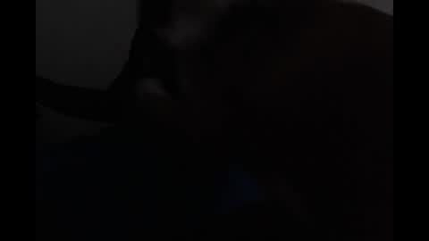 Bryson online show from 19, 4, 2026