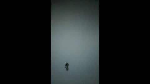 bigchorizo18 online show from 17, 3, 2026