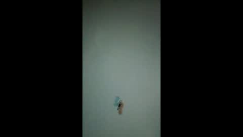 bigchorizo18 online show from 20, 3, 2026