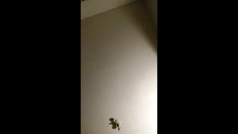 bigchorizo18 online show from 2, 4, 2026