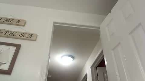 Snapshot of bigcumcanada chatting on 19, 12, 2024 bg online show from 19, 12, 2024