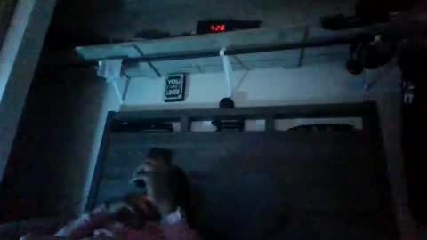 bigdickdaddy3200798456 online show from 28, 12, 2024