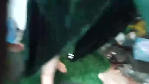 bigmanaround9 online show from 15, 9, 2025