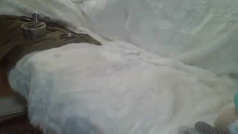 ...... online show from 14, 12, 2024