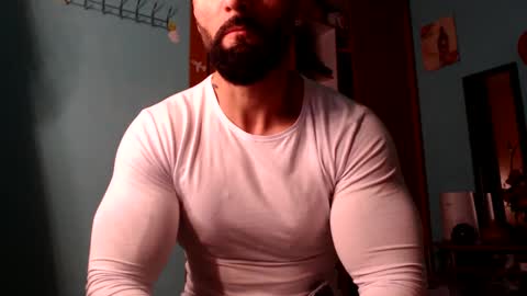 BigStallion online show from 7, 12, 2024