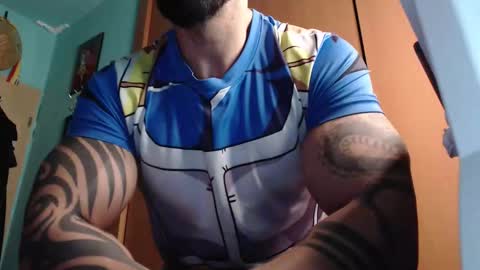 BigStallion online show from 28, 9, 2025