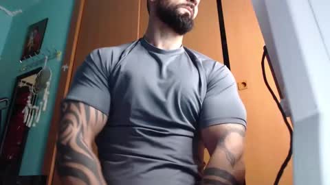 BigStallion online show from 28, 11, 2025