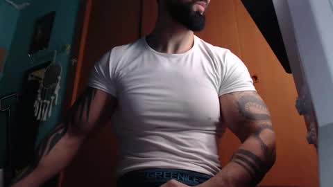 BigStallion online show from 3, 12, 2025